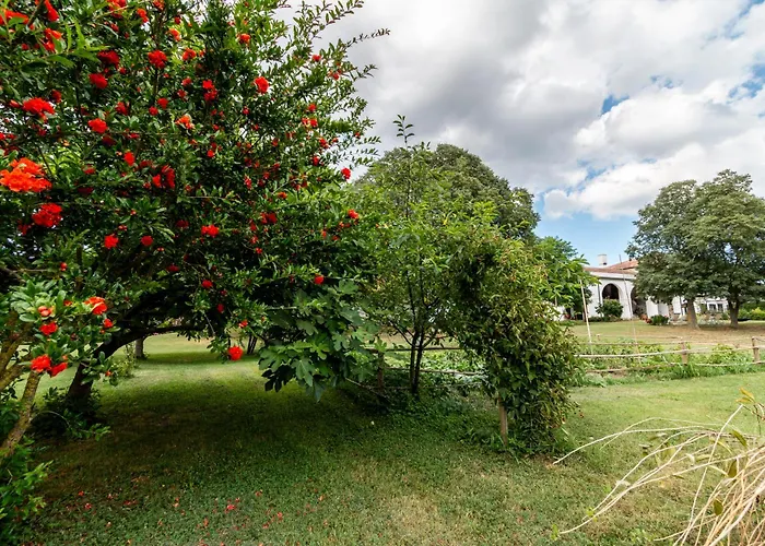Agriturismo Monte Scala